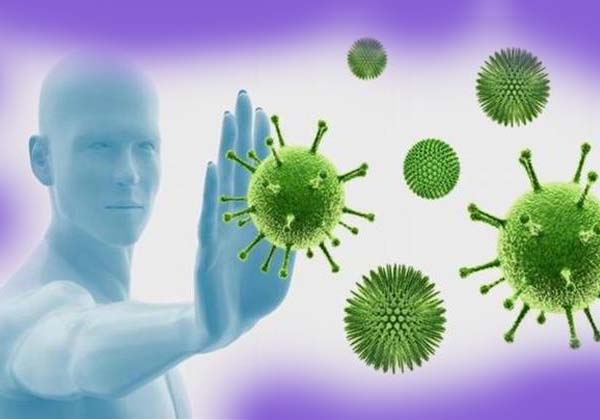 build your immune System to fight herpes